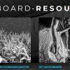 Imagen con todas las actividades de los ecoboard en tablas de surf ecológicas