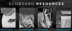 Imagen con todas las actividades de los ecoboard en tablas de surf ecológicas